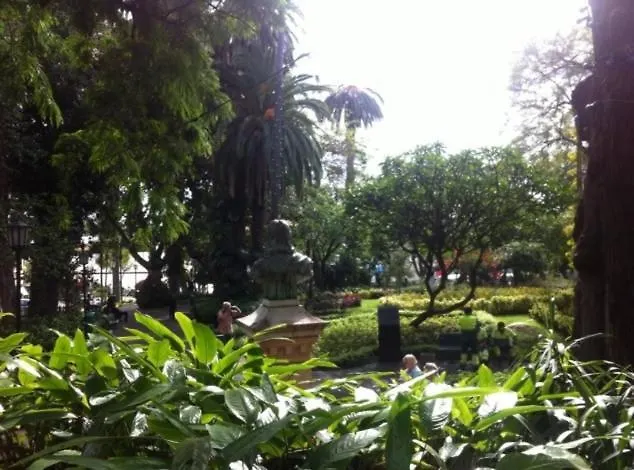 Central Funchal Apartment - Garden - Free Parking & Ac ポルトガル